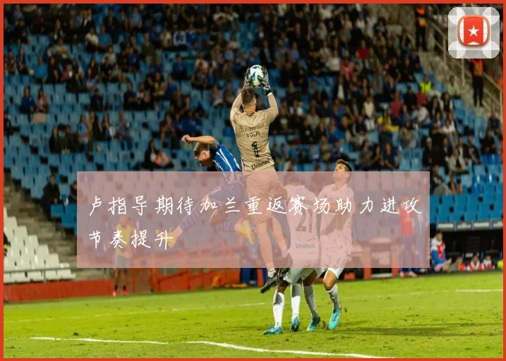 卢指导期待加兰重返赛场助力进攻节奏提升