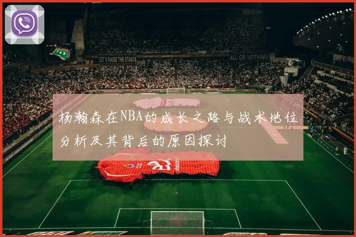 杨瀚森在NBA的成长之路与战术地位分析及其背后的原因探讨