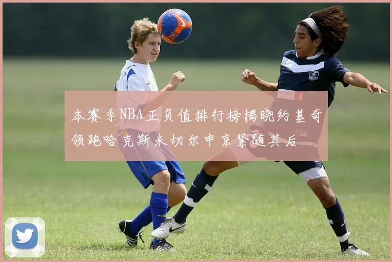 本赛季NBA正负值排行榜揭晓约基奇领跑哈克斯米切尔申京紧随其后