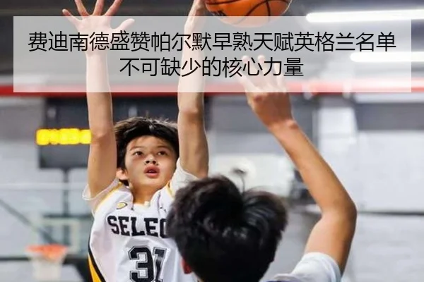 费迪南德盛赞帕尔默早熟天赋英格兰名单不可缺少的核心力量 - 3377Sports